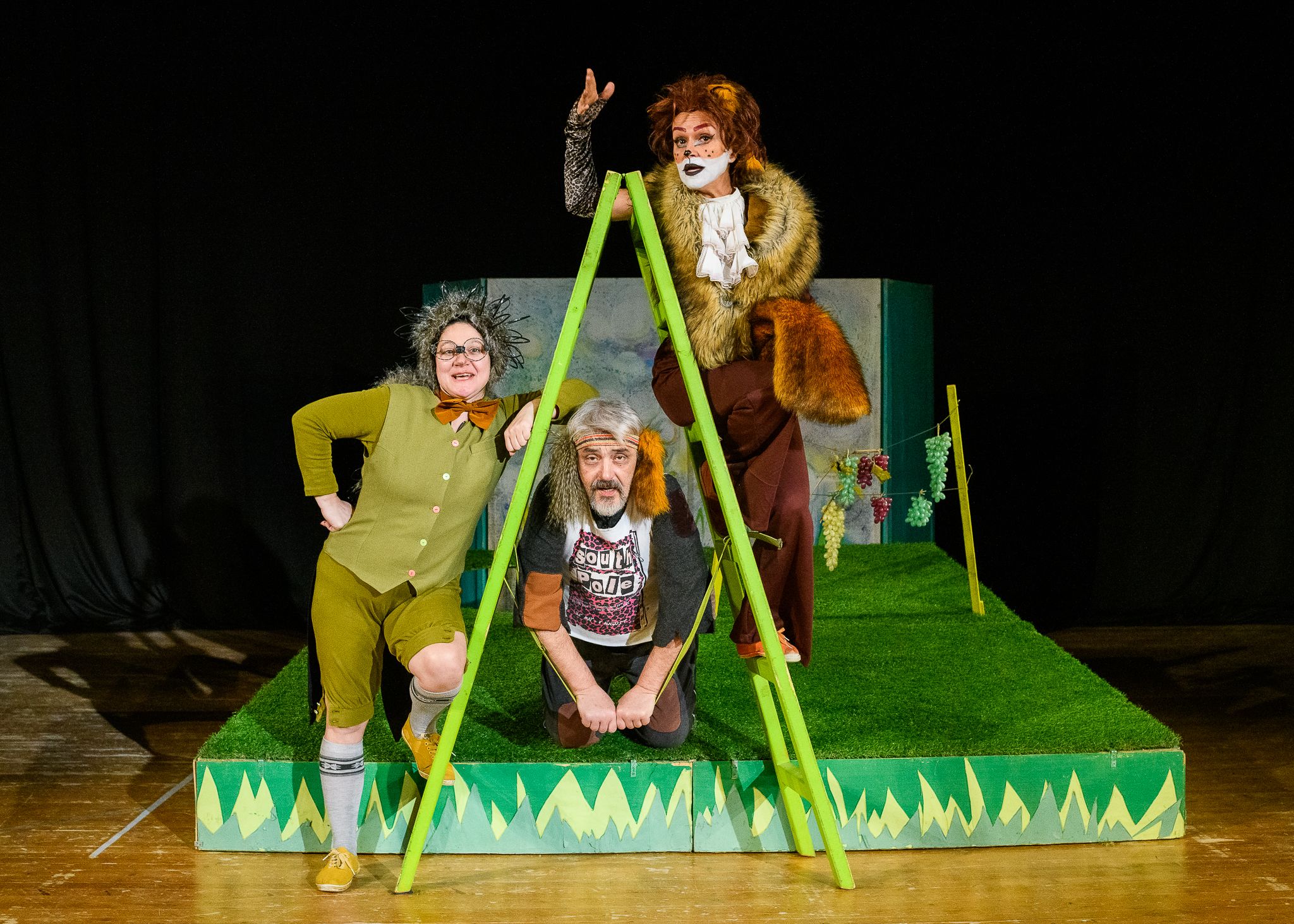 220 ЛИСИНИ ХИТРИНИ